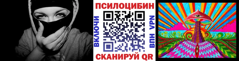 где купить наркоту  KRAKEN ONION  Галлюциногенные грибы MAGIC MUSHROOMS  Строитель 